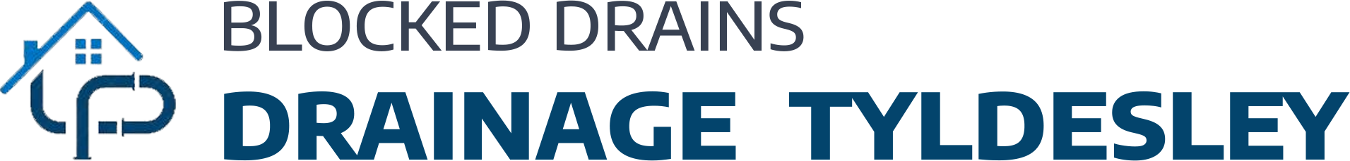 website logo